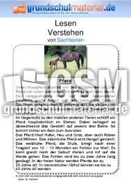 Mit kauf der lösung erwerben sie auch die fragen. Pferd Sachtext Sachtexte Tiere Sachtexte Lesen Deutsch Klasse 3 Grundschulmaterial De