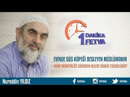 Evinde Sus Kopegi Besleyen Muslumanin Evine Misafirlige Giderken Nelere Dikkat Edilmelidir Youtube