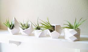 View your indoor plant pots with the same attention to detail as the rest of your indoor decor. Mini Flower Plant Pots Indoor Garden For Succulent Plant Pot Small Planter Uk