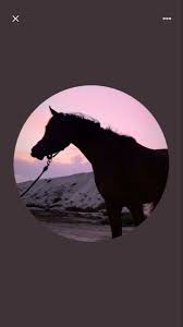 افتارات تويتر profile picture pictures celestial