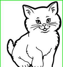 Uniknya kucing ini jenis yang memiliki ekspresi wajah yang khusus yaitu marah atau masam. Gambar Kucing Yang Mudah 5000 Gambar Kucing Lucu Imut Dan Paling Menggemaskan Sedunia Cara Mudah Merawat Kucing Anggor Gambar Kucing Lucu Gambar Hewan Kartun