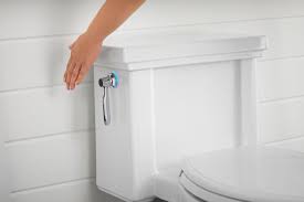 Review of top 7 kohler toilets: From Touchless To High Tech The Smart Home At Ces 2021 Reflected The Times Cnet