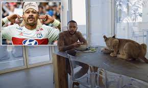 The lyon ace enjoyed a wild day in lockdown posting pictures cuddled up to. Memphis Depay Channels His Inner Joe Exotic As He Enjoys Lockdown With A Liger In Latest Music Video Daily Mail Online