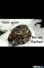 Nicht Jetzt Lustige Spruche Bilder Witzige Bilder Spruche Schlaue Spruche