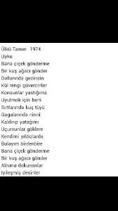 Bana Cicek Gonderme Bir Kus Agaci Gonder Ulku Tamer Alintilar Okuma Alintilari Guzel Soz