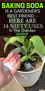 Deborah Heidel (deborahheidel)