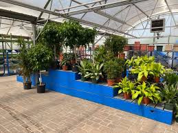 Maybe you would like to learn more about one of these? Lowe S Garden Center Home Facebook