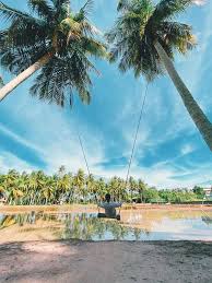 Just a few minutes drive from galway city, there is parking outside, take away and home delivery service available. Kampung Agong Penaga Pulau Pinang Trip Jalan Jalan Facebook