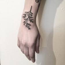 See more of hình xăm cute hà nội on facebook. 15 Hinh XÄƒm Cay Tung Bach Ä'áº¹p Nháº¥t Y NghÄ©a XÄƒm Hinh Xay Tung