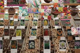 Book Your Tickets Online For Flower Market Bloemenmarkt Amsterdam See 2 599 Reviews Articles And 1 782 P Flower Market Trip Advisor Amsterdam Attractions