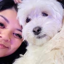 rain drop 💧 crank top