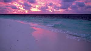 Browse 35,253 pink sunset stock photos and images available, or search for pink sunset ocean or pink sunset beach to find more great stock photos and. Ocean Pink Sunset At Maldives Stock Footage Video 100 Royalty Free 5084672 Shutterstock