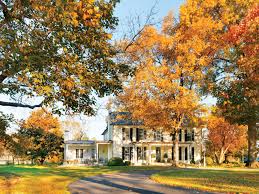 Southern living sounds of the south platter plate becky denny 11 green & blue. The Best Exterior Paint Colors For Farmhouses Southern Living