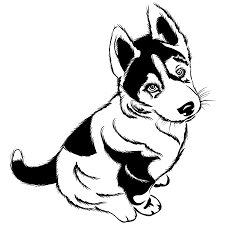 Utilise des attaches parisiennes pour assembler les différents éléments. Les Chiens Les Animaux Du Monde