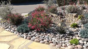 Sep 14, 2011 · a xeriscape is a landscaped area specifically designed to withstand drought conditions and reduce water consumption. Xeriscape Vs Dryscape What S The Difference And How To Choose Outdoor Garden Accessories