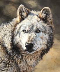 Wild And Beautiful Wolf Cotton Quilt Fabric Coordinate Fabrics Digitally Printed Broadcloth Fabric Panel In 2020 Beautiful Wolves Cotton Quilts Riley Blake Designs