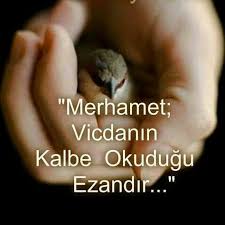 Merhamet Ile Ilgili Resimli Sozler Hadisler Guzel Soz
