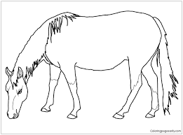 Horses coloring pages for kids. American Quarter Horse Coloring Pages Horse Coloring Pages Coloring Pages For Kids And Adults
