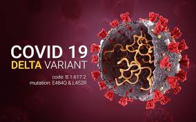 Nuova variante delta indiana del coronavirus in campania: Variante Delta La Mutazione Indiana Che Preoccupa Metropolitano It