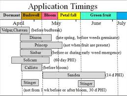 13 Timeless Weed Herbicide Chart