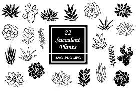 Download Succulent Svg Bundle Cactus Clipart 1050025 Cut Files Design Bundles