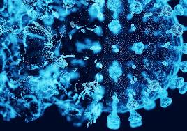 Image result for Virus