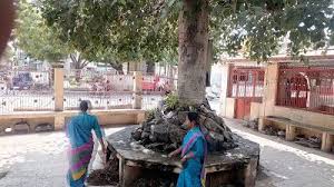 This year's muhurat, amavasya tithi, will be from 01:57 pm on june 09 to 04:22 pm on june 10. Pin On Festival 4 U