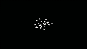 Dark aesthetic wallpapers for free download. Wallpaper 4k Aesthetic Black Aesthetic Text Black Hd Wallpapers 1080p 4k 38905 1080x1080 Wallpaper Teahub Io Search Free 4k Wallpapers On Zedge And Personalize Your Phone To Suit You Rekishinomena