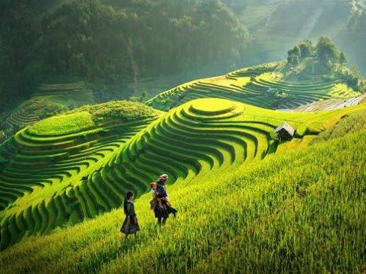 Mộc Ch&acirc;u l&agrave; ở đ&acirc;u? C&oacute; g&igrave; đặc biệt m&agrave; ai cũng xi&ecirc;u l&ograve;ng