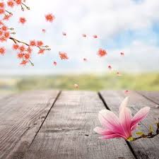 warm kitchen background promotion main map flower backgrounds background images photo backgrounds
