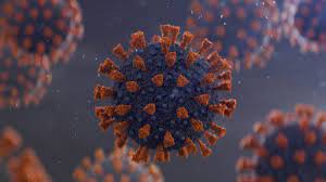 Aug 04, 2021 · la variante lambda del coronavirus surgida en perú ya lleva semanas circulando en estados unidos. Iubo0o8ktdgglm