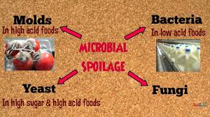 Food Spoilage Microorganisms