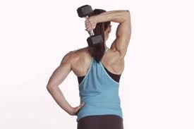 The key to this exercise is to keep the arms next to the ears as you lower the weight behind you. Overhead Tricep Extension Steps Variations And Benefits