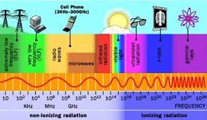 Understanding Frequency Vibrations Karen Holton