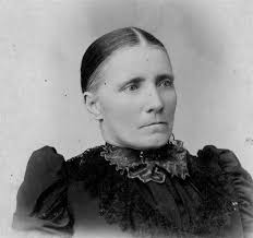 McWilliams Family: Clinton Co. MOGenWeb