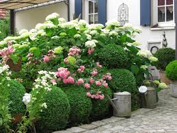 Pin Von Nahide 70 Auf Garten In 2020 Garten Cottage Garten Hortensien Garten