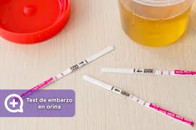 Que Es El Test De Embarazo En Orina Mediquo