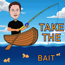 Fish Biting GIFs | Tenor