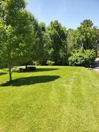 I also specialize in shrub rows. Crenshaw S Lawn Shrub Care Llc Home Facebook