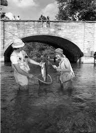 2015-2016 Official Manual