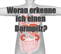 Woran Erkenne Ich Darmpilz Symptome