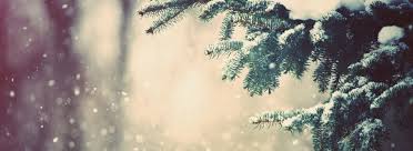 Obituary of James "Jim" V. Stidham, Sr.