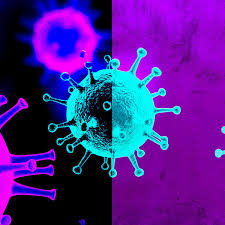 I vaccini da soli non bastano per sconfiggere la variante Omicron ...