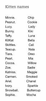 Black And White Bunny Names Boy Boy Pet Names Baby 70 Ideas For 2019 Baby Pet Kitten Names Girl Pet Names Cute Pet Names