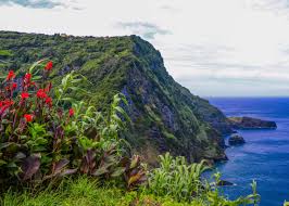 The purple line is a seasonal line that runs from june 15 to september 15 on tuesdays and saturdays. Getting Outside On Flores In The Azores Scuba Diver Life