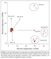 Image result for Afrostyrax kamerunensis
