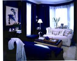 Cobalt blue & why home decor loves it. Cobalt Blue Wall Houzz