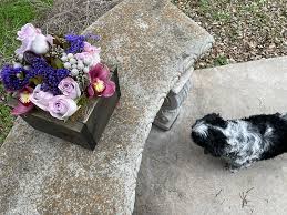 We did not find results for: Flowers And Questions