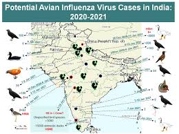 H7n9 virus is rated by the influenza risk assessment tool as having the greatest potential to cause a pandemic, as well as potentially posing the greatest risk to severely impact public health if it. Avian Flu Brings Forth Environment Animal And Human Interactions