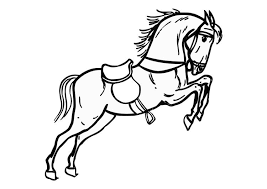 Kleurplaat Springend Paard Afb 10361 Horse Coloring Horse Coloring Pages Coloring Pages